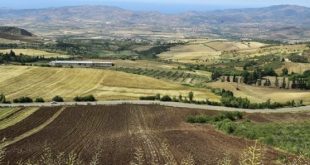 Ferme agricole en Algérie