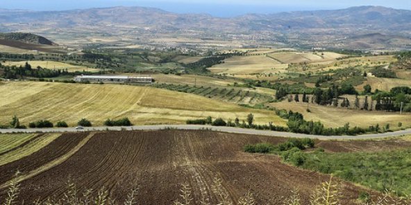 Ferme agricole en Algérie