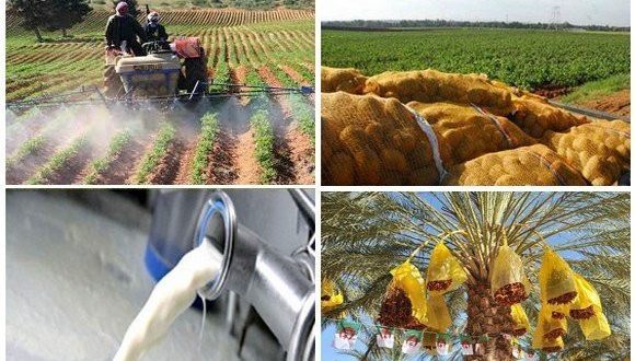 Agriculture en Algérie