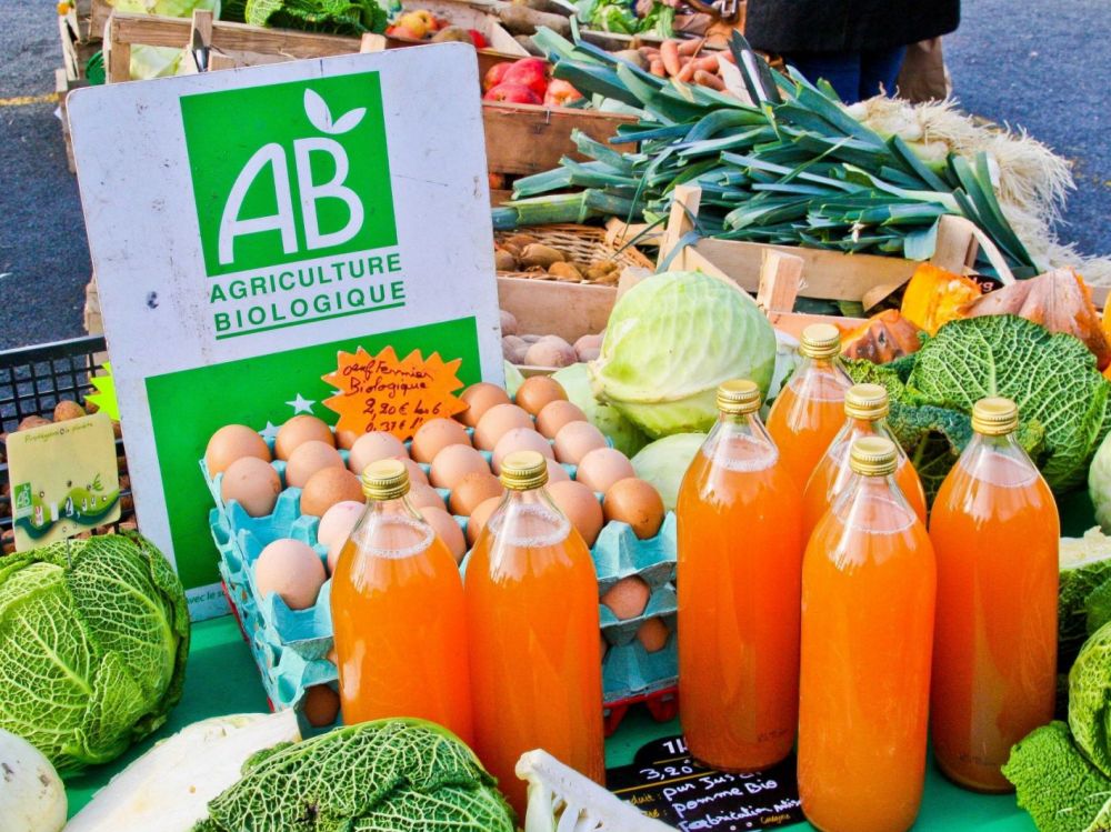 La culture biologique dispose d&rsquo;un potentiel énorme en Algérie