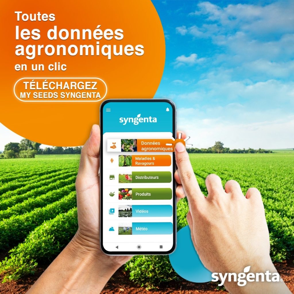 My Seeds Syngenta mise à jour avec plus de 500 variétés de cultures