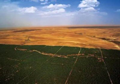 barrage vert sahara