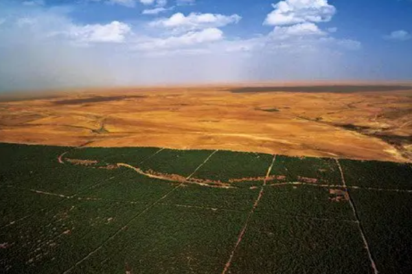 Un Barrage vert totalise plus de 42 000 hectares plantés