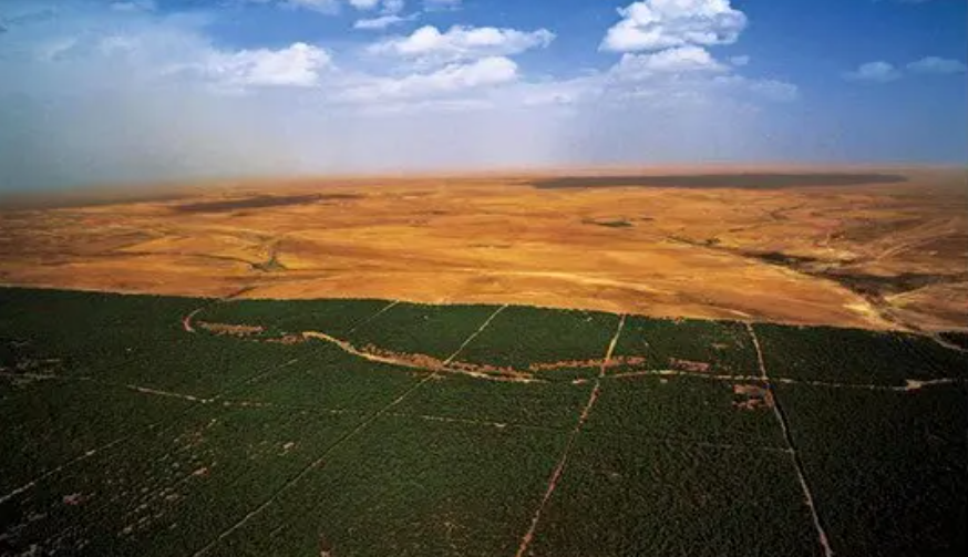 Un Barrage vert totalise plus de 42 000 hectares plantés