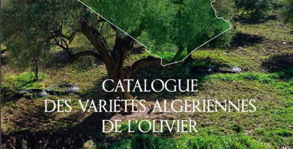 Le Catalogue Officiel des variétés d'oliviers en Algérie — free download