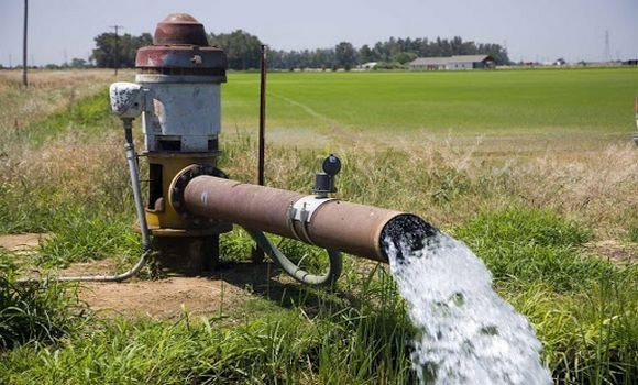 Les surfaces irriguées en augmentation en Algérie