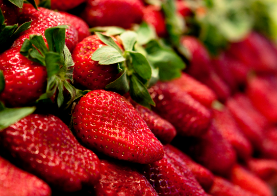 fraises
