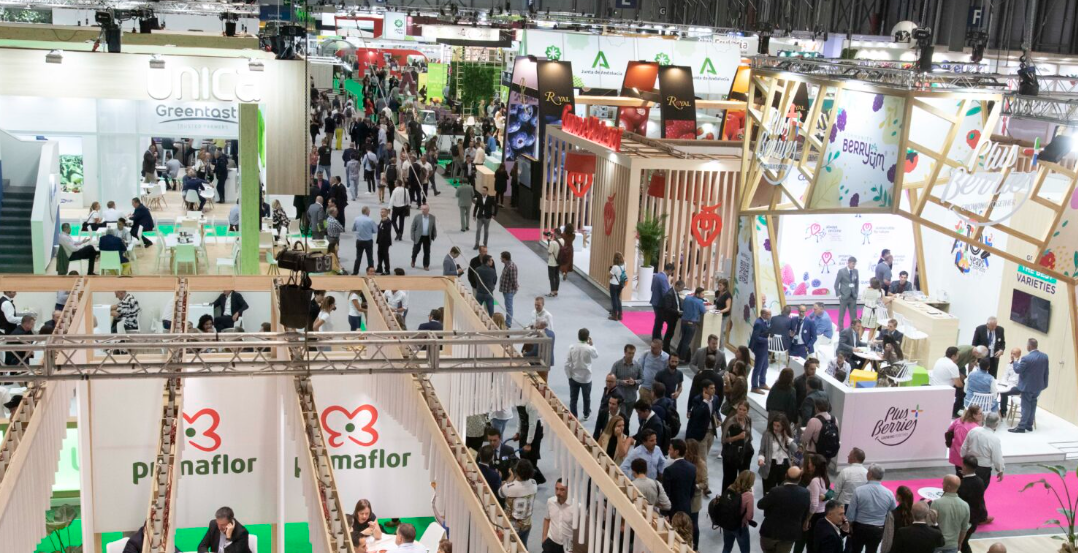 L&rsquo;Algérie prend part au Salon international « Fruit Attraction » à Madrid