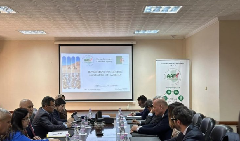 Une société italienne va réaliser d&rsquo;importants investissements agricoles dans le Sud de l&rsquo;Algérie