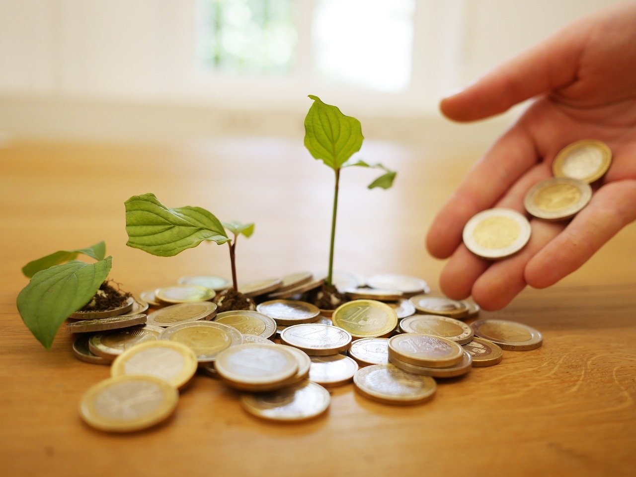 L&rsquo;APIA va publier un guide pour les investisseurs