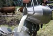 Lait