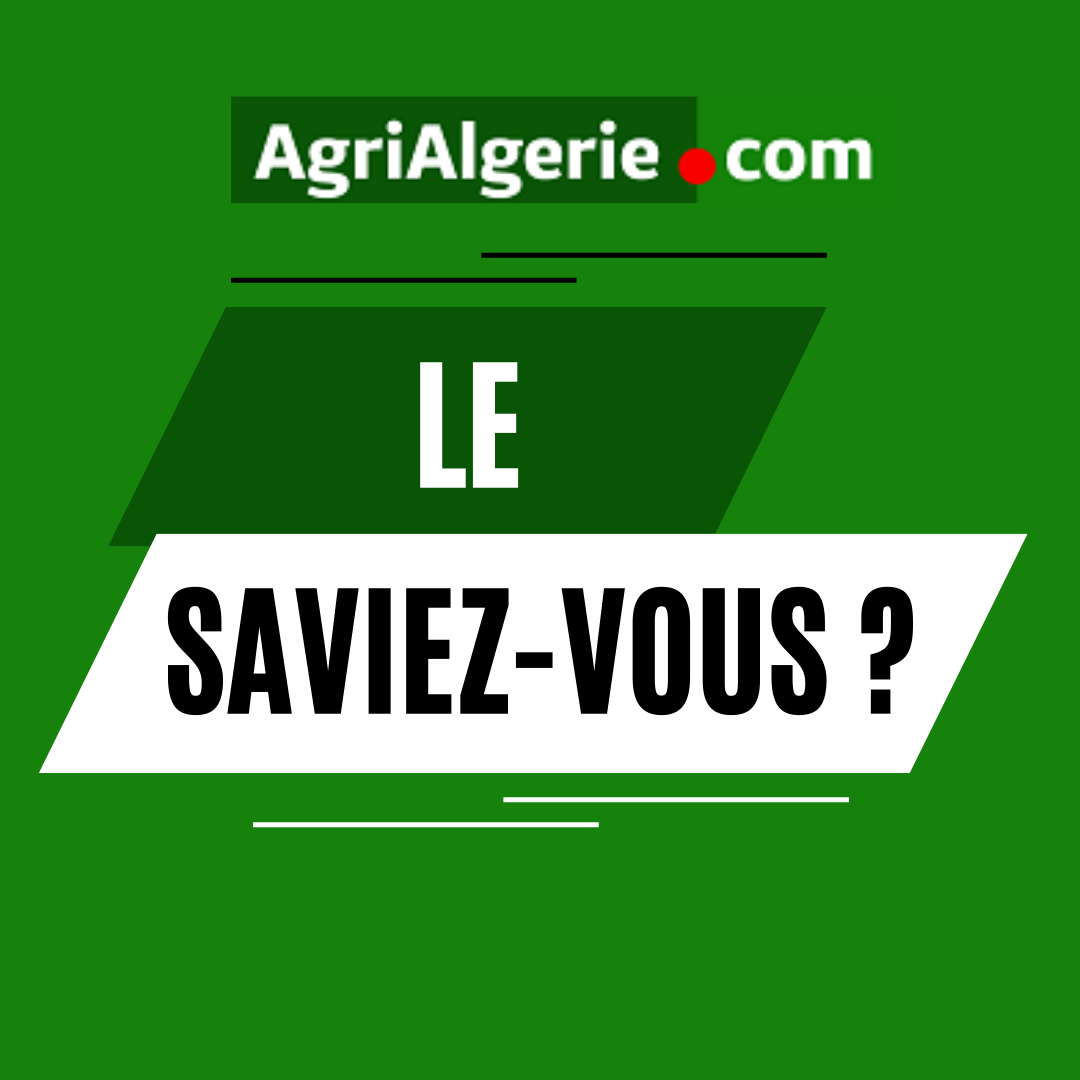 Quel est le fruit le plus contaminé par les pesticides ?