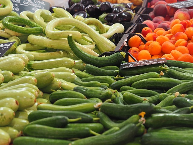 Vers la consolidation de la coopération agricole entre l&rsquo;Algérie et la Mauritanie