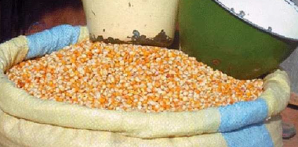Bétail : 2 appels d&rsquo;offres pour l&rsquo;achat de 60 000 tonnes de maïs et 30 000 tonnes d&rsquo;orge