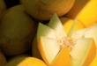 melon jaune