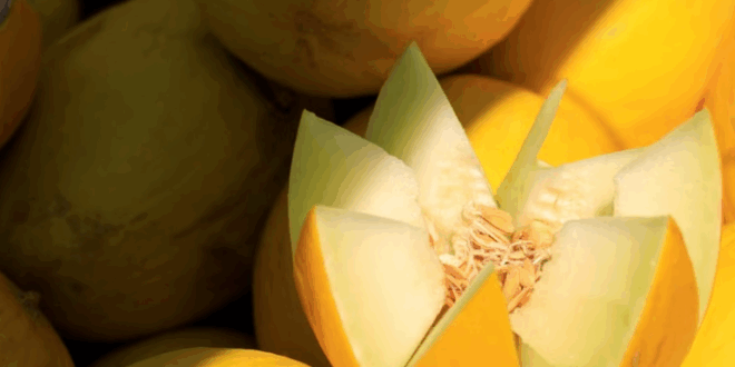 melon jaune