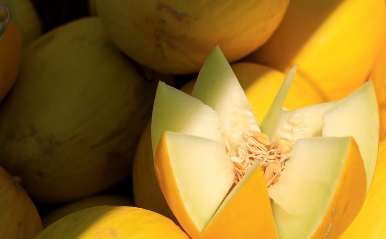 melon jaune