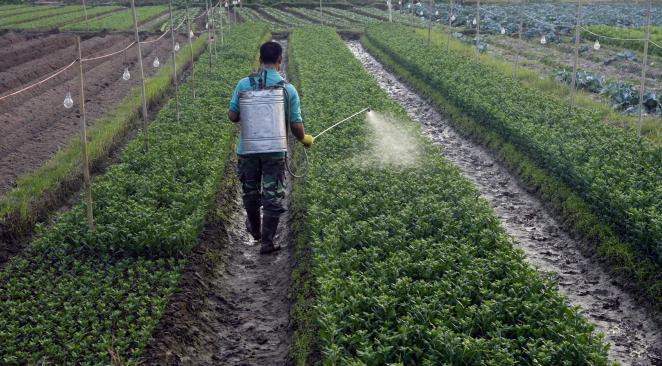 Pesticides : L&rsquo;organisation Phyteis défend la rigueur du cadre réglementaire français