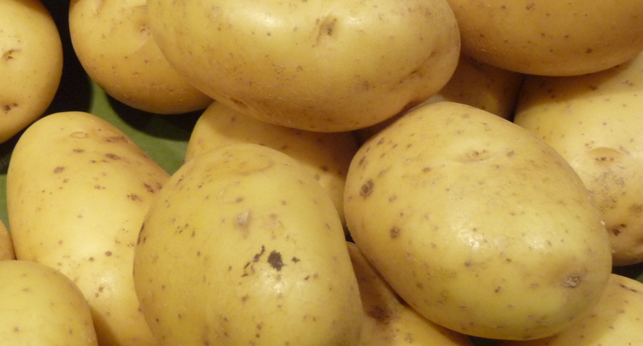 Pommes de terre : Une réunion pour stimuler la filière