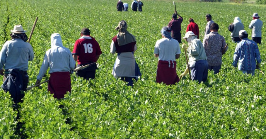 Incendie : Une commission mise en place pour les agriculteurs touchés