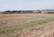Terrain agricole