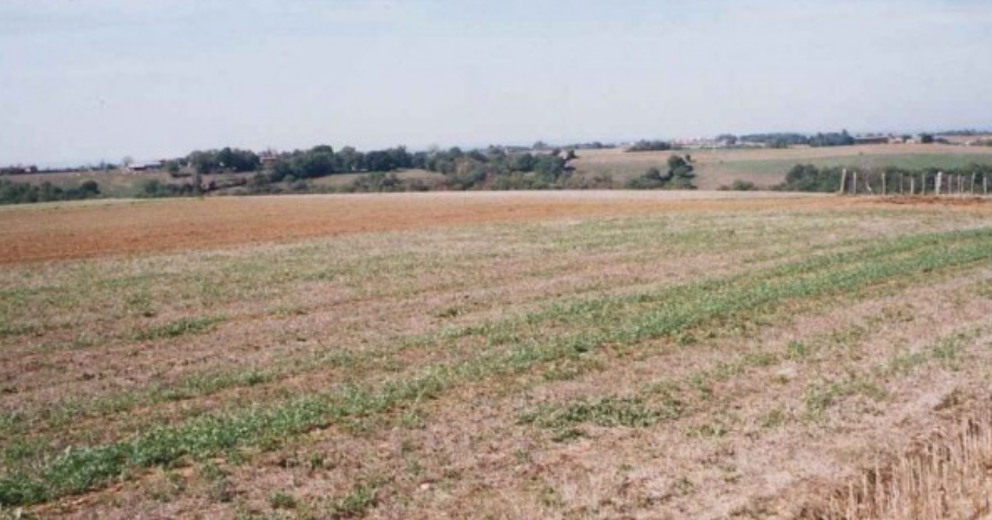 Terrain agricole